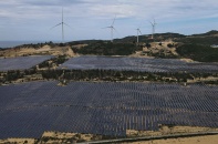 Dự án năng lượng tái tạo chuyển tiếp: Giá trần không phải là giá chốt