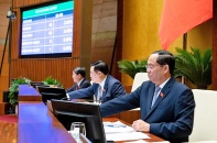 Chọn phương án hài hòa trong Luật Đấu thầu