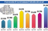 Doanh nghiệp vay USD đối diện với gánh lo tỷ giá