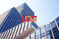 LDG có lạm dụng phát hành ESOP?