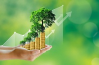 Tài chính xanh cho nền kinh tế trung hòa carbon