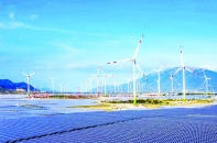 Thị trường M&A Việt Nam hấp dẫn nhà đầu tư Singapore