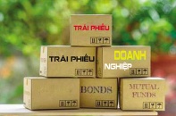 Thị trường trái phiếu phát triển bất đối xứng, nhà đầu tư gánh rủi ro