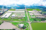 THACO nhịp nhàng kế hoạch đầu tư mới, hướng mốc doanh thu 1 tỷ USD xuất khẩu nông sản