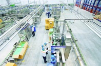 Kiên định với chuyển đổi xanh