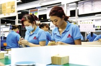 Kinh tế tư nhân: Góc nhìn từ nền kinh tế không rào cản - Bài 3: Cuộc đua thứ hạng với những người dẫn đầu
