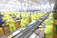 Bức tranh doanh nghiệp quý I/2025: Áp lực thị trường quá lớn