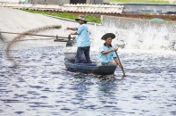 Doanh nghiệp gánh nhiều chi phí rất khó giải thích