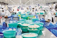 Doanh nghiệp đang chi phí bao nhiêu để tuân thủ thủ tục hành chính