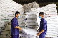 Phát triển kinh tế tư nhân: Tuyên chiến với tư duy “không quản được thì cấm” - Bài 2: Quản được đến đâu, mở ra đến đó?