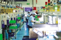 Việt Nam vẫn là điểm đến lý tưởng để đầu tư