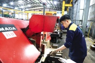 Sức bật vững vàng của kinh tế Việt Nam