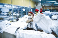 Phát triển kinh tế Việt Nam tầm nhìn năm 2045 - Bài 3: Cương lĩnh hành động đồng bộ và chủ động kiểm soát từ xa