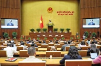 Sửa luật hàng không cần rõ trách nhiệm bồi thường thiệt hại