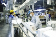 Đón “sóng” đầu tư từ APEC