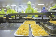 Cải cách môi trường kinh doanh chưa bao giờ hết dư địa