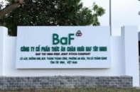 Cổ phiếu BAF lao dốc theo giá heo và sức ép nợ vay