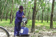 Giải mã sóng cổ phiếu doanh nghiệp nhà nước