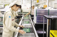 Từ thông điệp chính trị đến ngôn ngữ chính sách