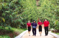 Agribank xanh hóa tín dụng: “Cầu nối” để phát triển năng lượng xanh tại Việt Nam