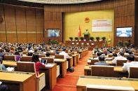 Trọng trách người đại diện 