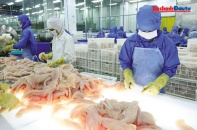 Doanh nghiệp vẫn ngóng chờ được gỡ điểm nghẽn