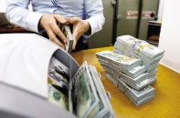 Nhiều điểm tựa giữ ổn định tỷ giá cuối năm