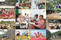 Mở rộng dòng vốn, mở thêm sinh kế