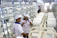 Người phát ngôn Chính phủ trả lời về vụ việc tại Nhà máy sơ xợi Đình Vũ (Hải Phòng)