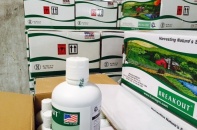 Phó Thủ tướng yêu cầu Cục Hóa chất xuống tận địa phương dẹp phân bón giả