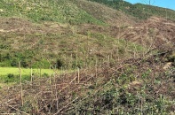 Quảng Ninh: Triển khai đồng bộ nhiều giải pháp trong phòng, chống cháy rừng sau bão số 3