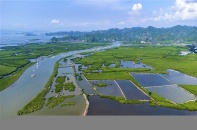Hải Phòng muốn tái đầu tư nguồn thu từ giao dịch tín chỉ các-bon