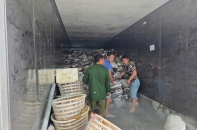 Lại thêm vụ thực phẩm “bốc mùi” tại Móng Cái: Hơn 25 tấn hàng không có giấy tờ hợp lệ