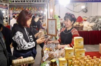 Hội chợ Công Thương vùng Đồng bằng sông Hồng - Hải Phòng 2025: Kết nối giao thương và liên kết vùng