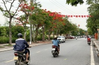 Hải Phòng: Nhiều xã được xếp loại I sau phân loại đơn vị hành chính