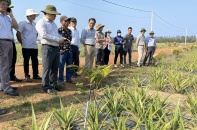 Doanh nghiệp khiếu nại, Quảng Ngãi vẫn quyết thu hồi dự án hơn 114 tỷ đồng