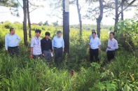 Tập trung giải phóng mặt bằng 2 dự án cao tốc ở Lâm Đồng