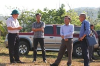 Đề xuất xây dựng nhà máy tuyển, luyện quặng đồng hơn 3.100 tỷ ở Quảng Ngãi