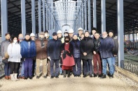 Đầu tư mới ra nước ngoài tăng gấp đôi, đạt hơn 300 triệu USD