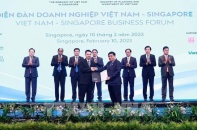 3 tháng, doanh nghiệp Việt đầu tư ra nước ngoài gần 120 triệu USD