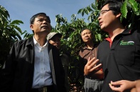 Dự án PPP NescafePlan được yêu cầu nhân rộng mô hình