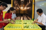 2 tháng xuất siêu 1,08 tỷ USD