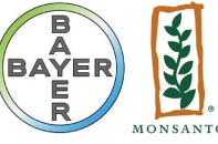 Bayer sắp hoàn tất thương vụ 63 tỷ USD mua lại Monsanto 