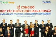 Trường Hải chi 7.800 tỷ đồng để tham gia các công ty của Hoàng Anh Gia Lai 