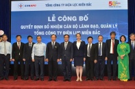 Tổng công ty Điện lực miền Bắc có dàn lãnh đạo mới 