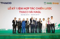 Có tiền tươi, Trường Hải đã đầu tư cho Hoàng Anh Gia Lai gần tỷ USD chỉ trong 1 năm hợp tác 