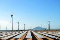 Chính phủ yêu cầu báo cáo cơ chế đấu thầu/đấu giá cho điện gió trong tháng 9 