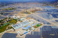 Ninh Thuận cấp Quyết định đầu tư dự án điện gió khi chưa được duyệt đấu nối 