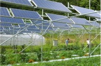 Trang trại làm điện mặt trời áp mái lo trắng tay vì không biết bán cho ai