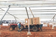 Nhà đầu tư quay cuồng tìm mua pin mặt trời 